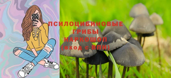 дурь Абдулино
