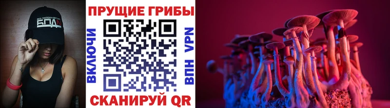 купить закладку  маркетплейс официальный сайт  Галлюциногенные грибы GOLDEN TEACHER  Тюмень 